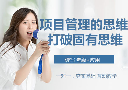 项目管理思维实战应用指南