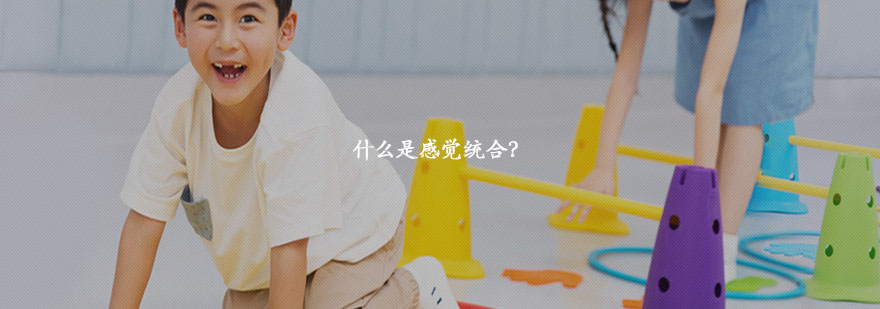 感觉统合训练示意图