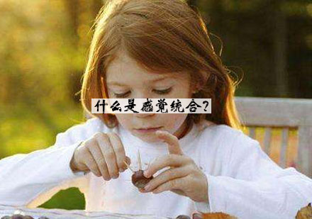深度解析感觉统合训练体系