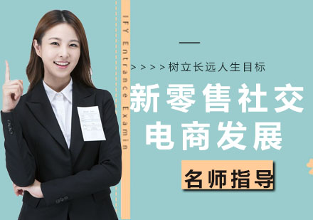 2024社交电商发展现状深度解析