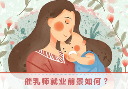 催乳师职业发展深度解析