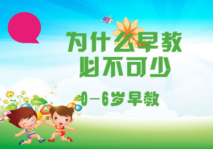 科学早教方法论深度解析