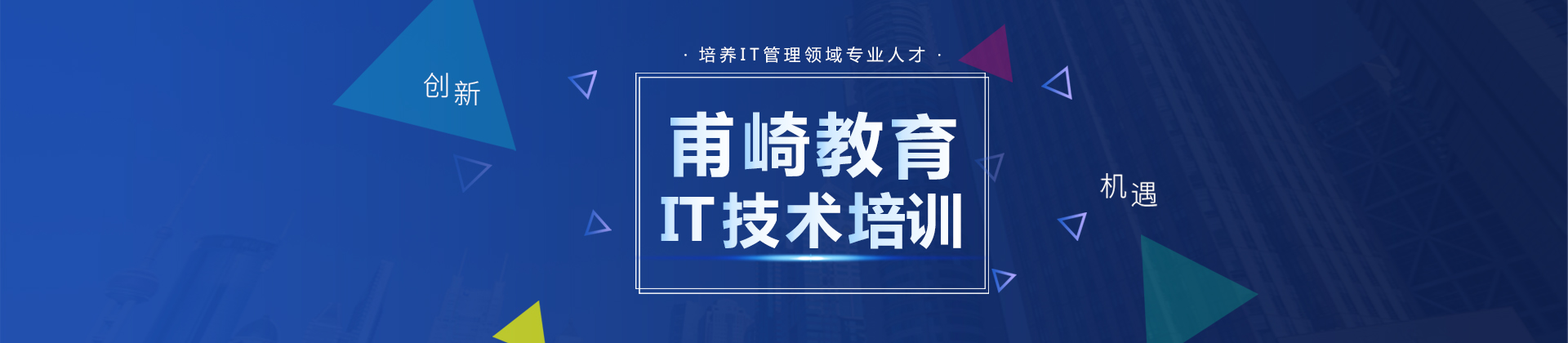 甫崎IT培训