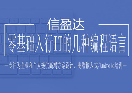 IT新人编程语言选择指南