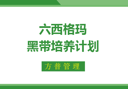 六西格玛黑带培养计划