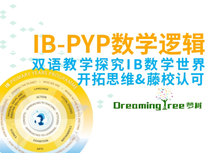 上海IB-PYP雙語數學邏輯思維課程