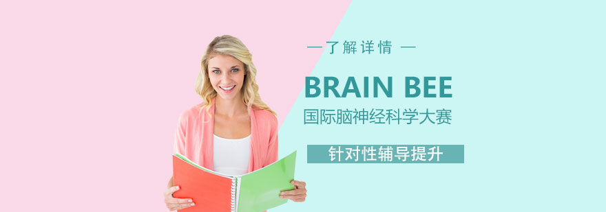 BrainBee竞赛辅导课程体系