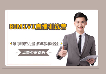 广州BIM1V1直播培训班