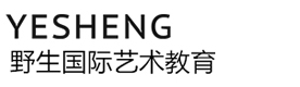 北京野生国际艺术教育