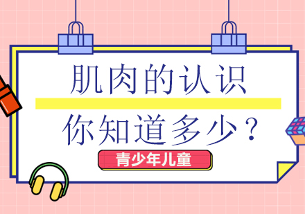 肌肉科学全解析：从结构到训练原理