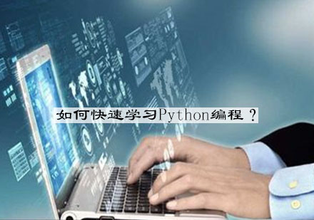 Python编程快速入门指南：高效学习方法与实战技巧