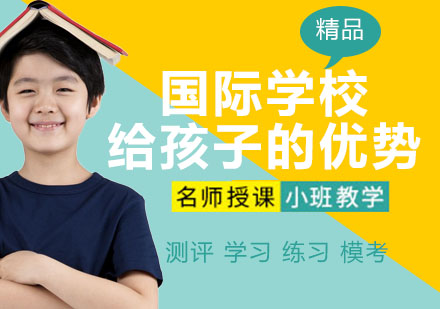 国际教育路径选择指南
