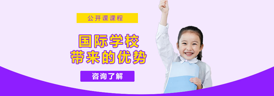 国际化教育对比分析