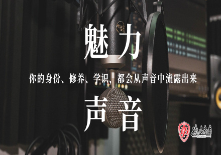 东莞魅力声音培训