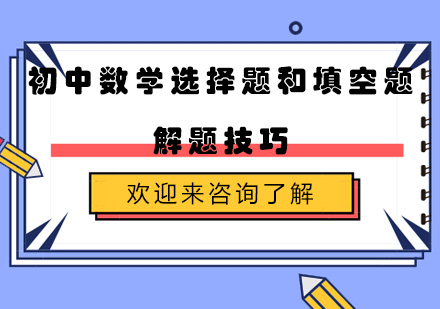 初中数学选择填空高效解题策略全解析