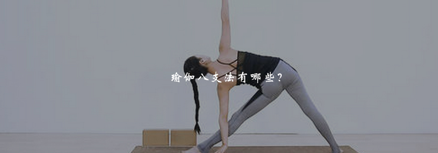 瑜伽八支法修行示意图