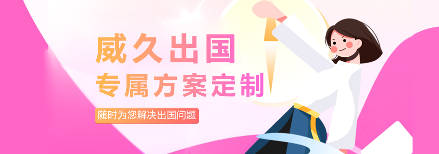 国际教育规划专家