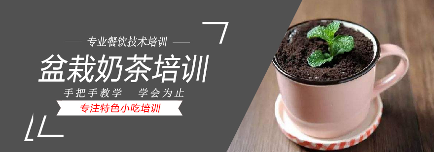 盆栽奶茶制作教学