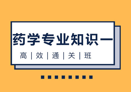 北京药学专业知识一高效通关班