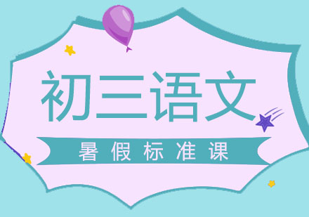 北京初三语文暑假标准课