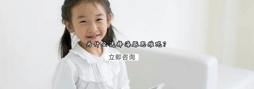 海豚思维教学模式