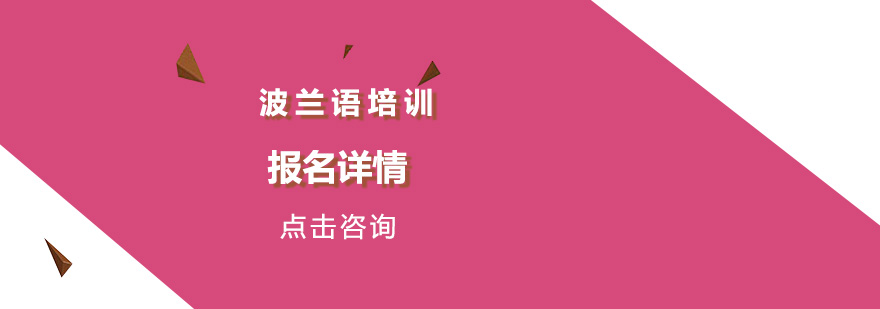 波兰语课堂实景
