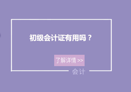 初级会计证职业价值深度解析