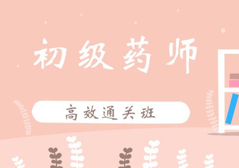 北京初级药师高效通关班