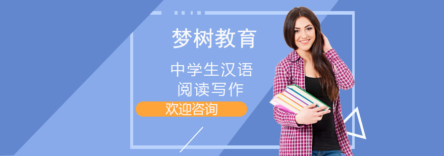 中学生汉语阅读写作课程