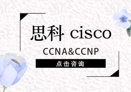 思科cisco培训