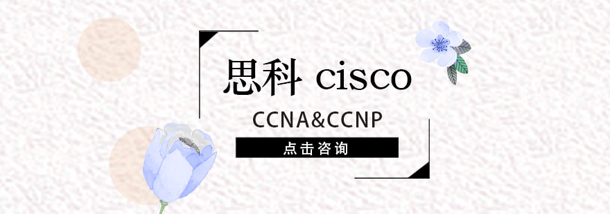 思科认证实验环境