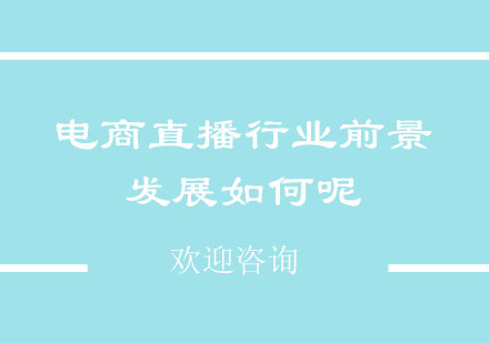 电商直播行业深度解析与实战指南