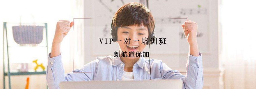 VIP定制课程