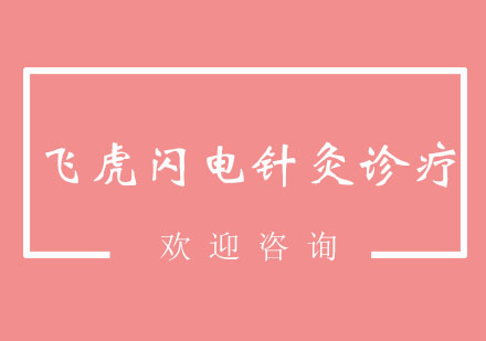 北京飞虎闪电针灸诊疗针法精品班