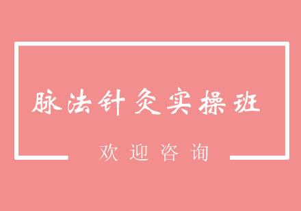 北京脉法针灸实操班