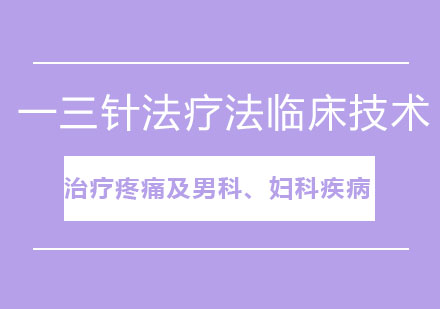 北京一三针法疗法临床技术