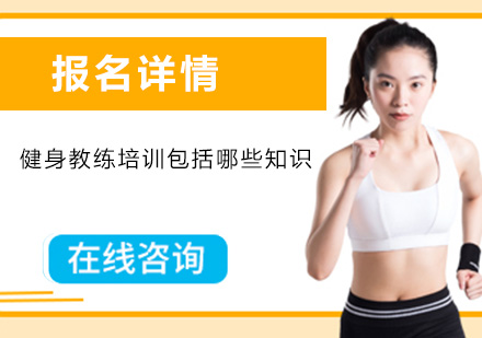 健身教练专业技能培养体系深度解析