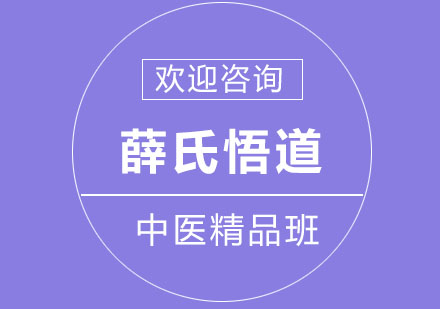 北京薛氏悟道中医精品班