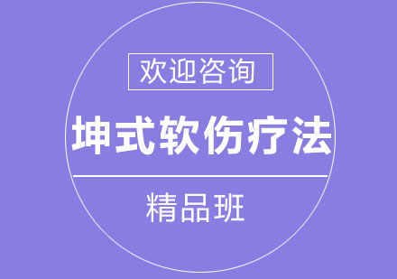 北京坤式软伤疗法精品班