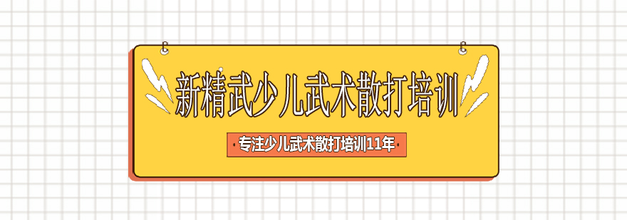 武术训练场景