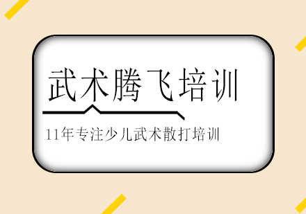 长沙武术腾飞培训课程