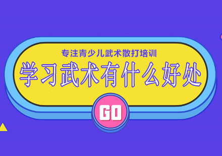 武术训练十大核心优势解析