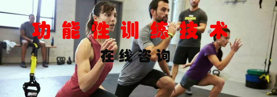 功能性训练示意图