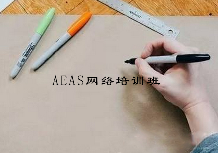 杭州AEAS网络培训班