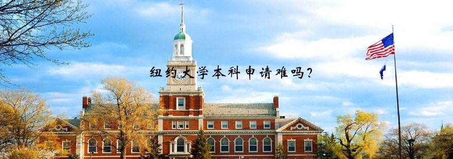 纽约大学校园全景