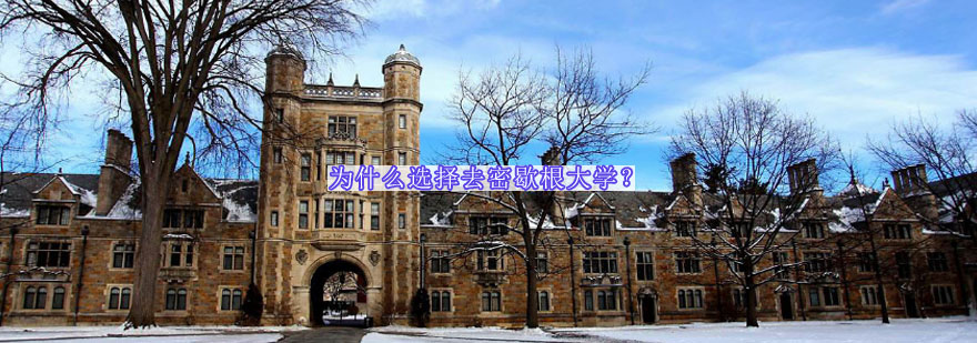 为什么选择去密歇根大学安娜堡分校