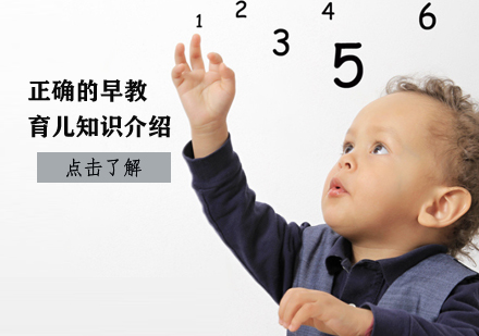 科学早教指南：培养婴幼儿五大核心能力