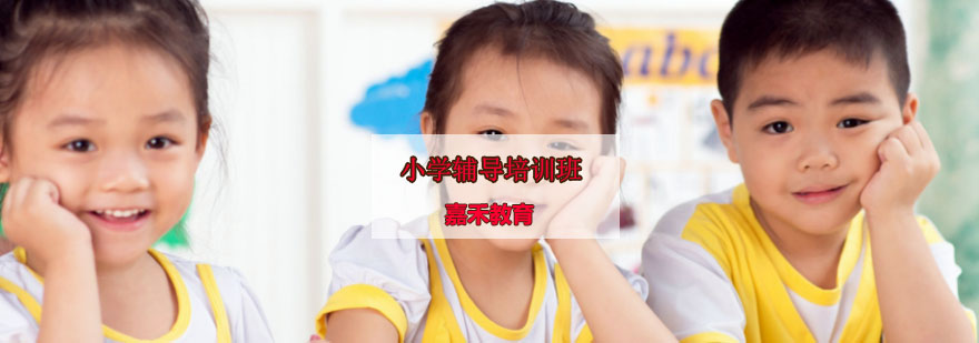 小学辅导培训班