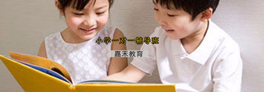 小学一对一辅导班