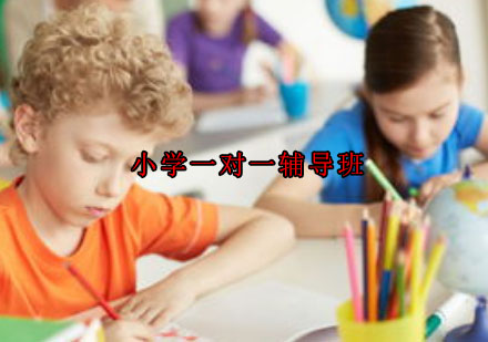 无锡小学一对一辅导班